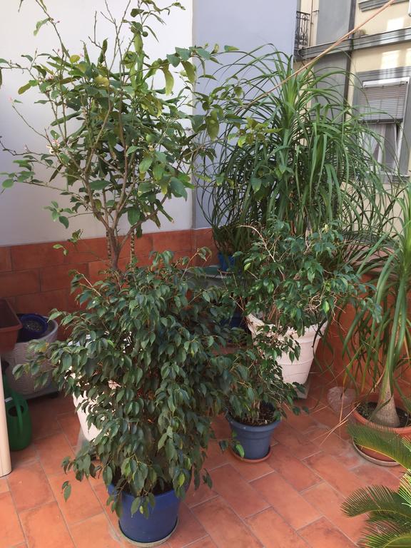 Appartement Casa Bianchini